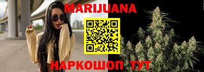 гашик Будённовск