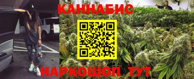 крисы Бузулук