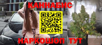 гашик Будённовск