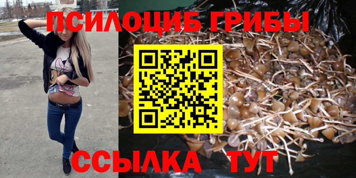 Галлюциногенные грибы Cubensis Сарапул