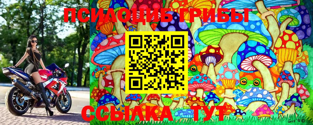 Псилоцибиновые грибы GOLDEN TEACHER  Вход с VPN  Сарапул 